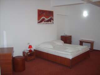 Отель Hotel Flormang Крайова Двухместный номер с 1 кроватью или 2 отдельными кроватями-8