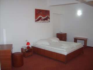 Отель Hotel Flormang Крайова Двухместный номер с 1 кроватью или 2 отдельными кроватями-16